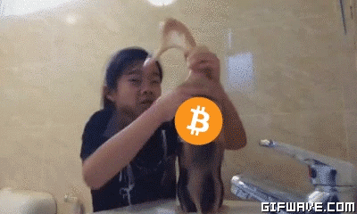 Bitcoin Cryptocurrency GIF - Find & Share on GIPHY