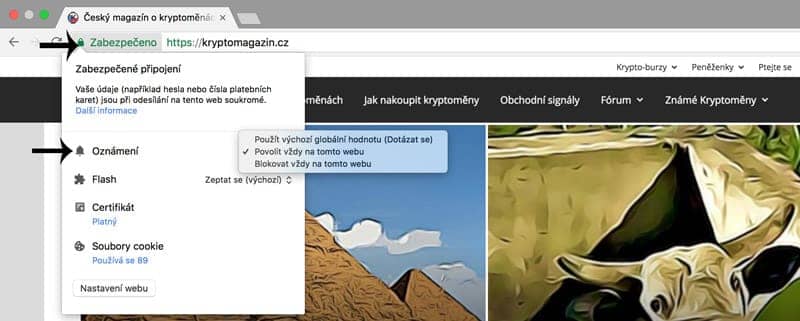 push-notifikace