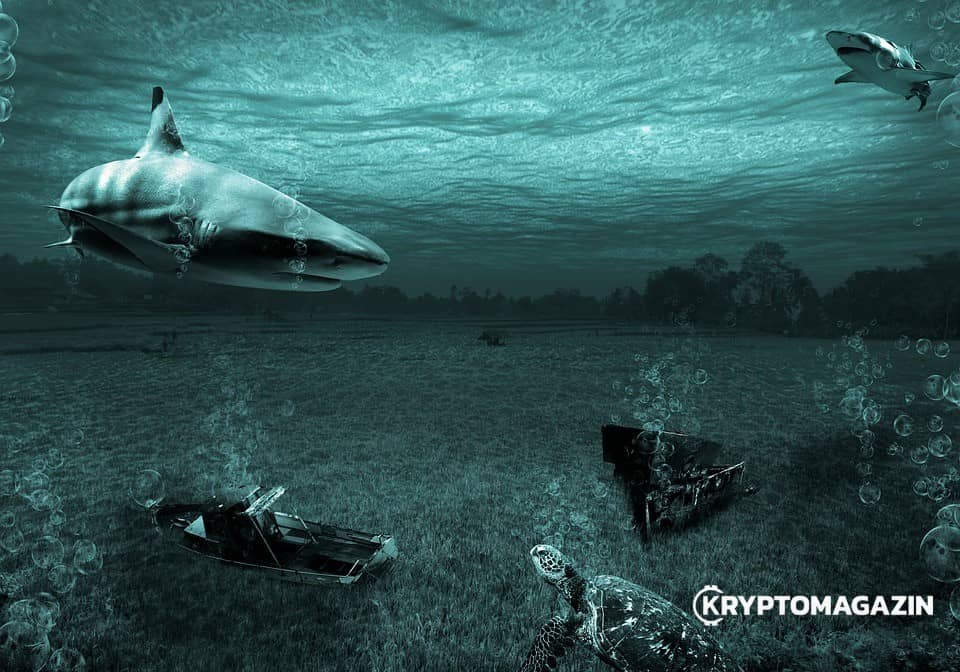[HODL] Bitcoin musí najít nové dno – zachování decentralizace je však důležitější