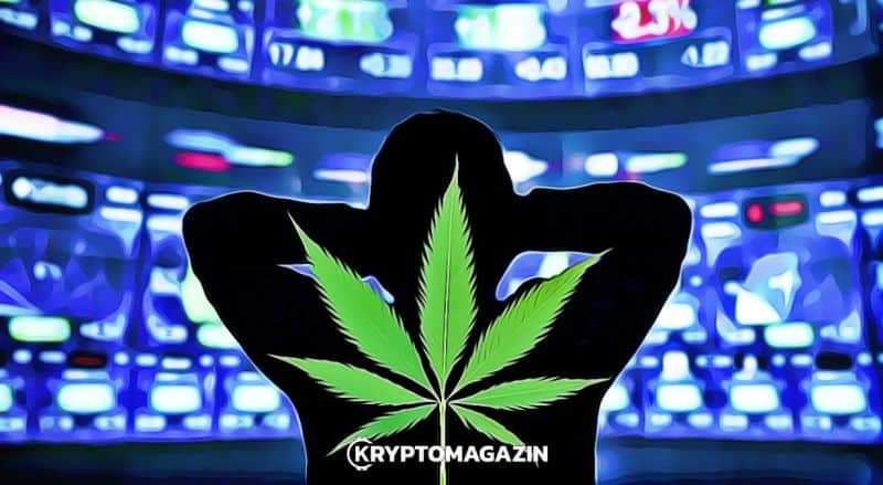11.09.19 Technická analýza Marijuana Stocks – Po divokém bull runu vystřízlivění?