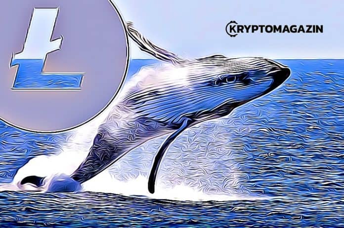 litecoin velryba whale