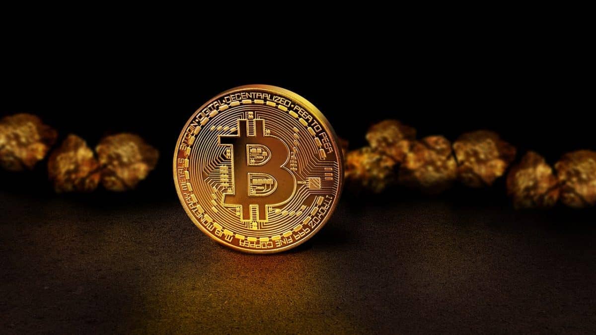 Bitcoin, zlato cathie wood ethereum ray dalio