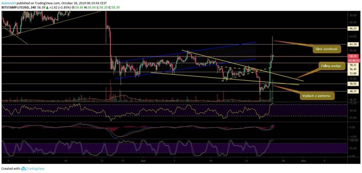 analýza LTC