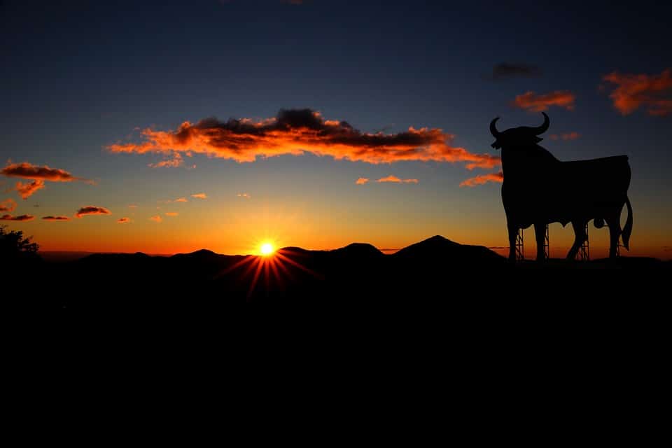 bull, horečka