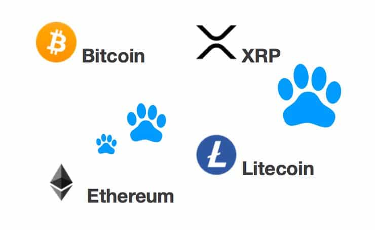 [Přehled trhu] 17.02. [BTC] -1,5%[LTC] -6,27%[ETH] -5,77% [XRP]-7,33% O víkendu vzali bears trh do vlastních rukou
