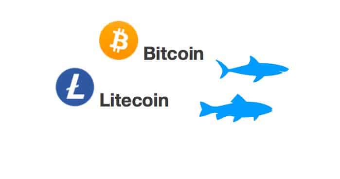 [Přehled trhu] 04.03.20 [BTC] -1,52% [LTC] +1,55% Bitcoin vymazal růst, budeme znovu testovat support 8 500 USD?
