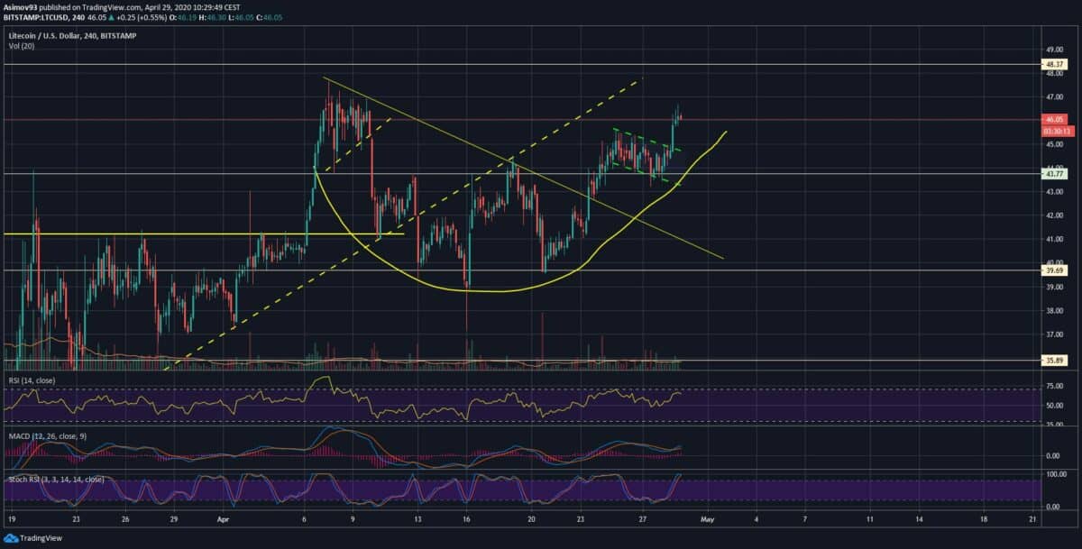 analýza ltc