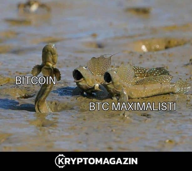 meme