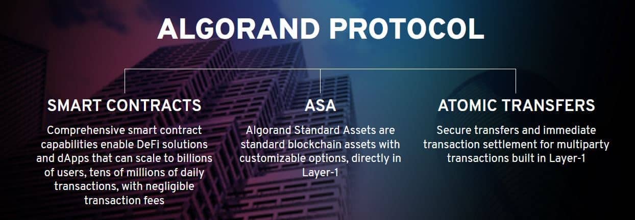 algorand_protocol