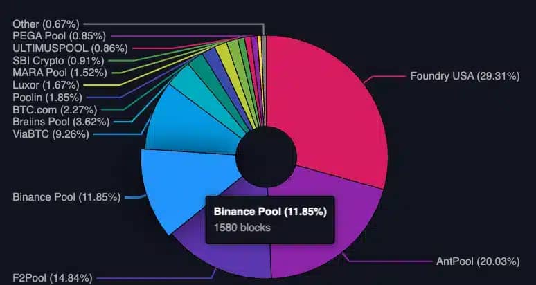 Náhled na současné rozdělení těžařského poolu bitcoinu (zdroj: mempool.space).