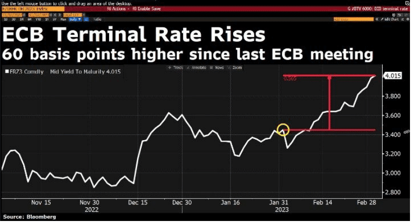 Terminal rate eurozóny