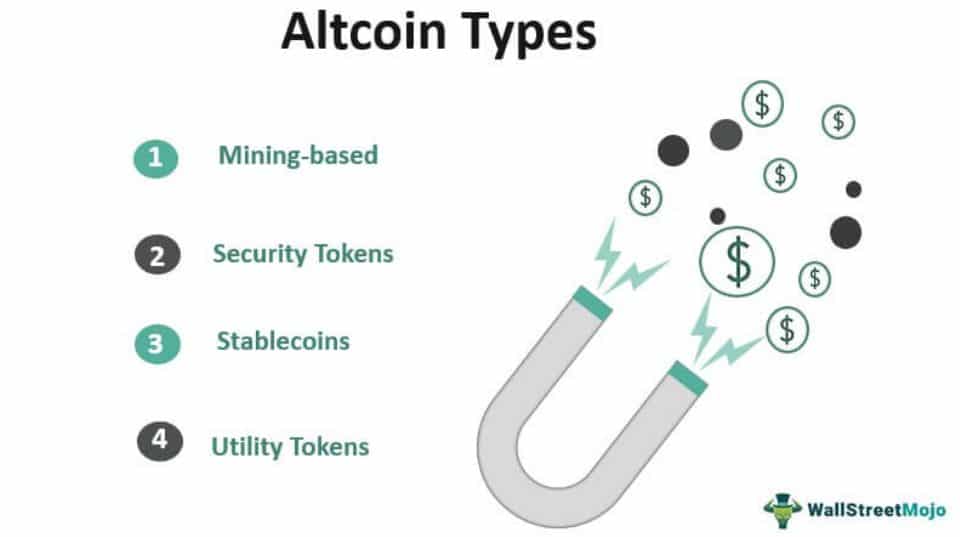 Typy altcoinů. Zdroj: wallstreetmojo.com