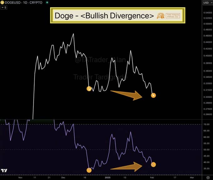 Bullish divergence na dogecoinu. Zdroj: Trader Tardigrade / X