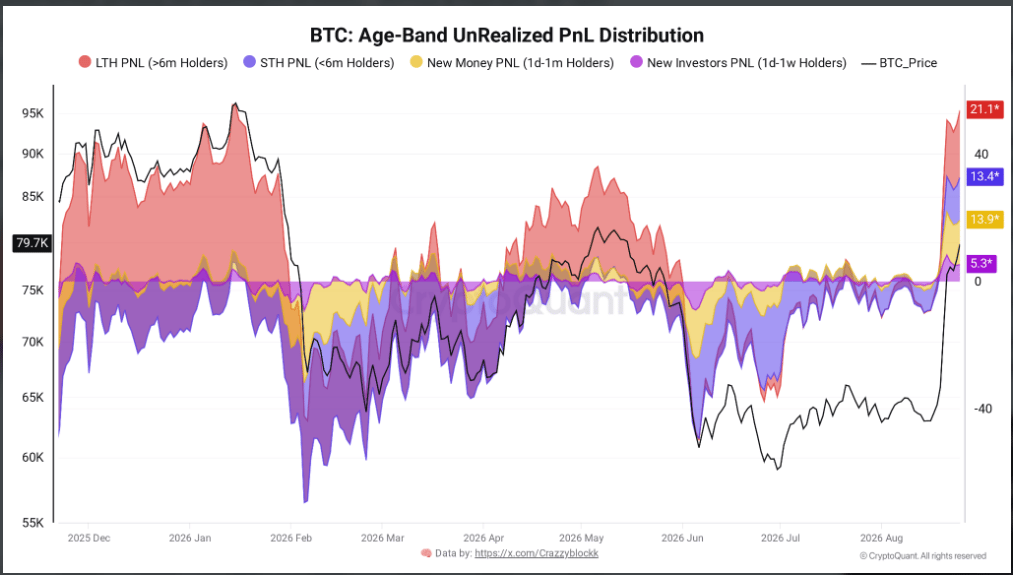 Bitcoin: Rozložení nerealizovaných zisků podle stáří držitelů. Graf ukazuje, jak se v průběhu času mění nerealizovaný zisk dlouhodobých, krátkodobých a nových držitelů bitcoinu.