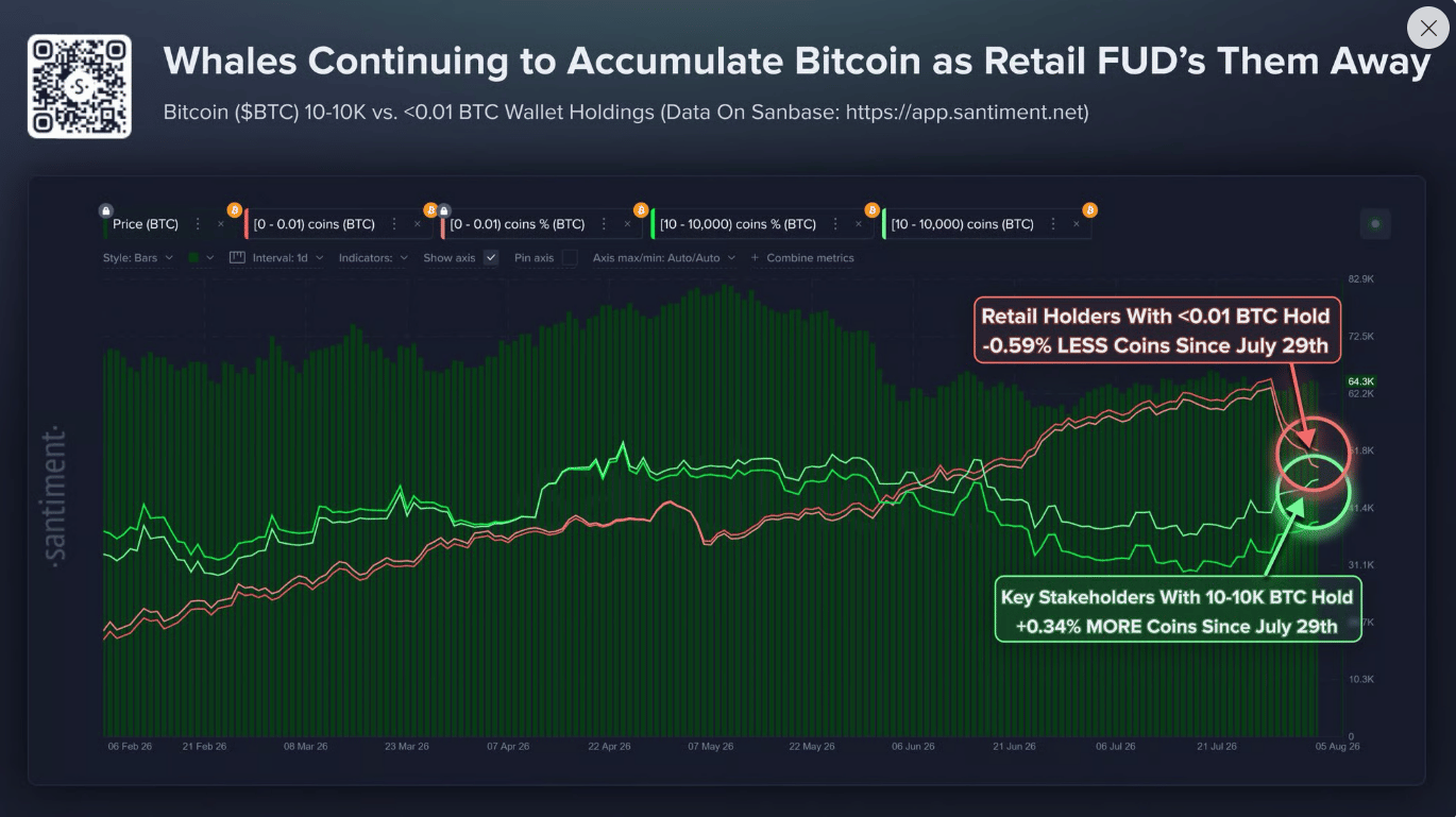 Data Santimentu ukazují, že zatímco drobní držitelé s méně než 0,01 BTC od 29. července snížili své zásoby o 0,59 %, velcí držitelé s 10 až 10 000 BTC naopak své pozice navýšili o 0,34 %.
