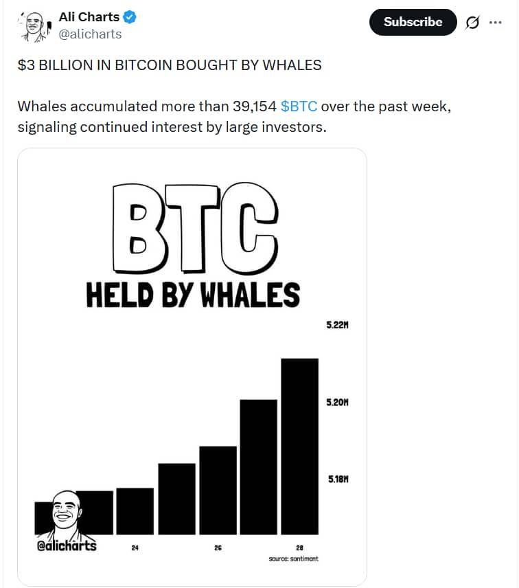 Graf růstu držby bitcoinových velryb mezi 23. a 28. srpnem 2026.