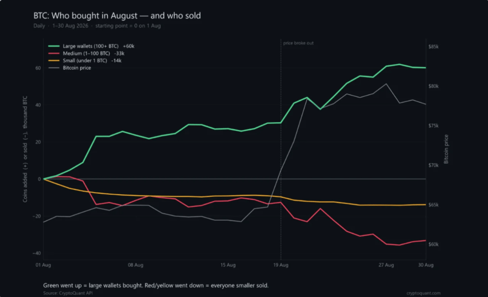 Data CryptoQuant ukazují výrazný rozdíl mezi velkými a menšími držiteli. V srpnu peněženky s více než 100 BTC přidaly přibližně 60 000 BTC, zatímco držitelé 1–100 BTC prodali asi 33 000 BTC a nejmenší peněženky dalších 14 000 BTC.