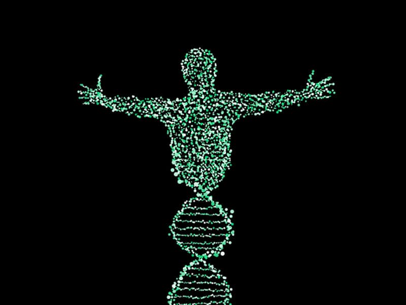Muž DNA