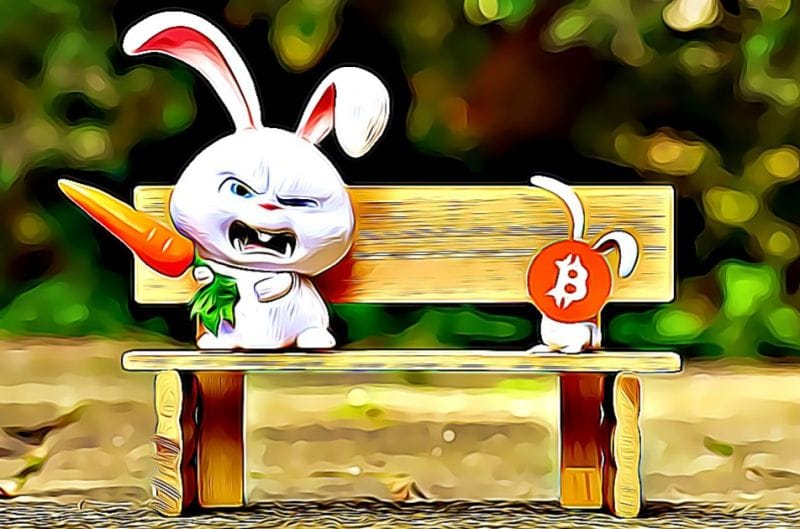 evil bunny