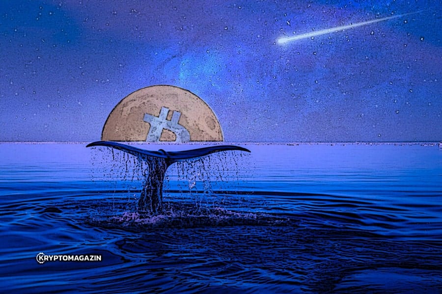 bitcoin-velryba-moon