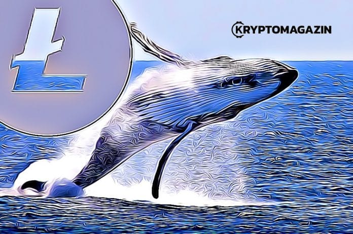 litecoin velryba whale