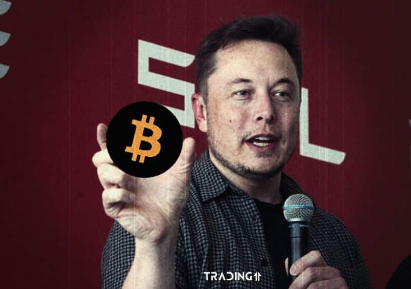 elon musk bitcoin