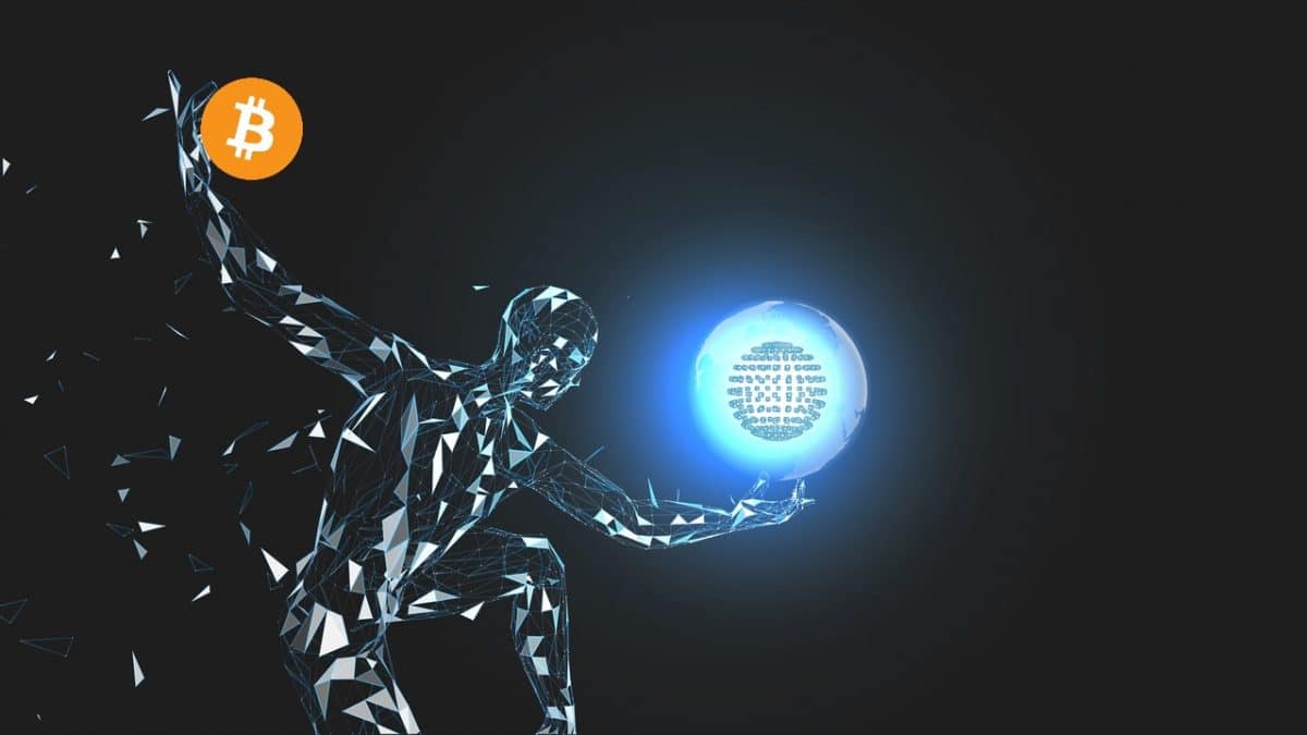 adaptace, adopce, novogratz, bitcoin