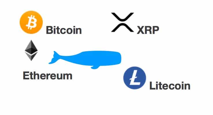 [Přehled trhu] 20.02. [BTC] +2,5%[ETH] +1%[XRP] +1,5%[LTC] +1,1% Trh se připravuje na pohyb!