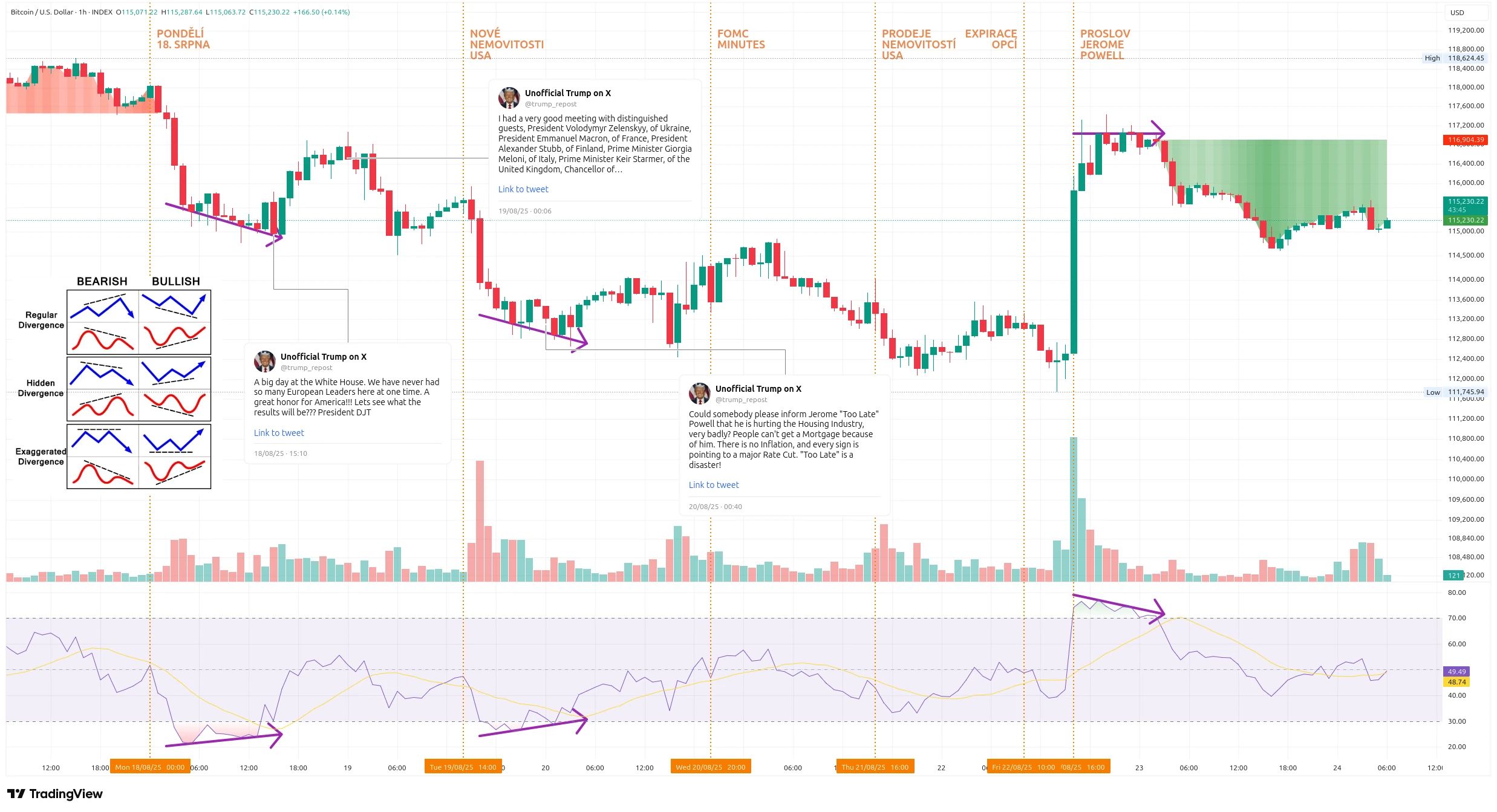 Hodinový graf kurzu ceny Bitcoinu s vyznačením důležitých událostí tohoto týdne (zdroj: TradingView).