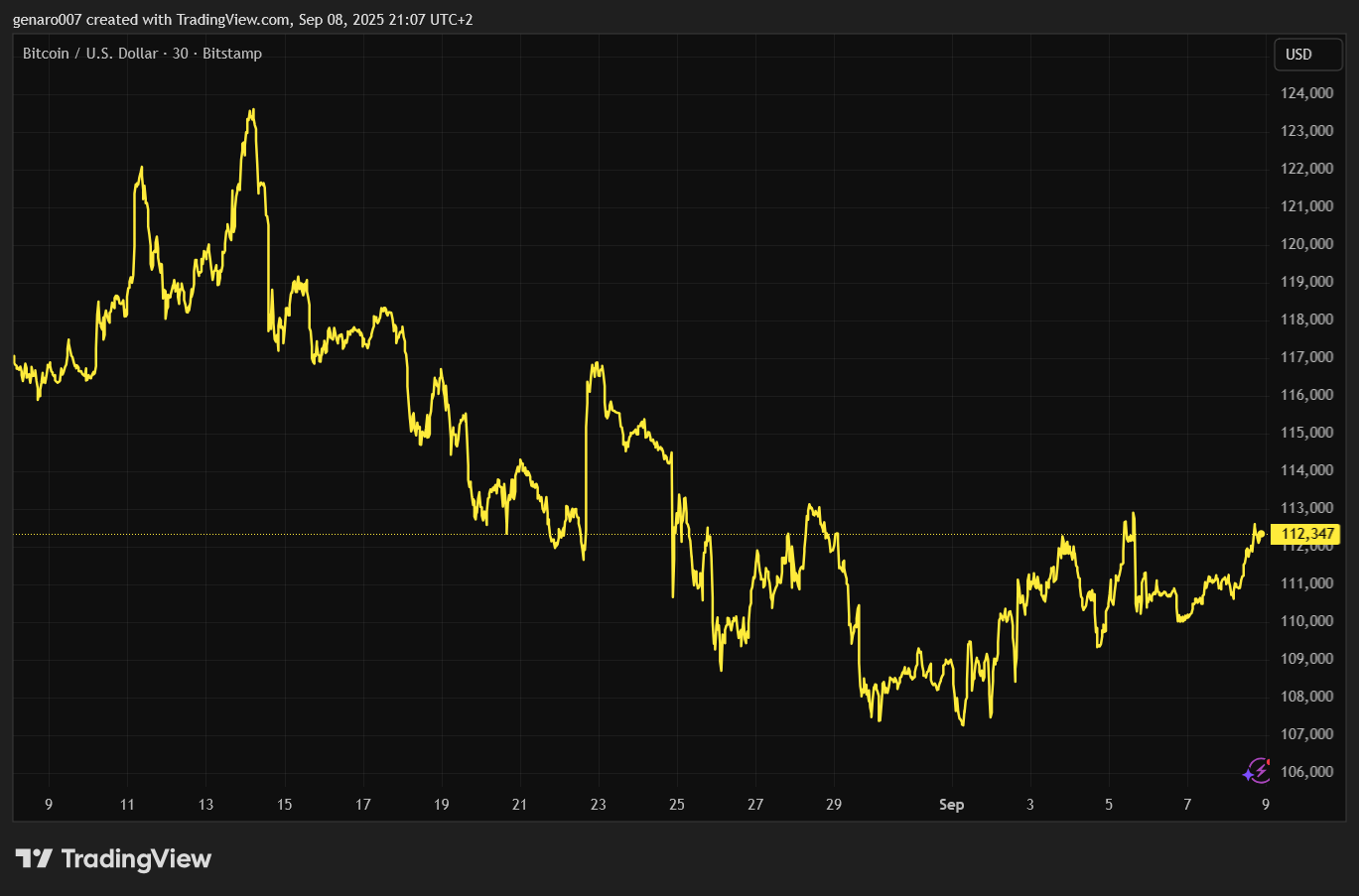 Vývoj ceny bitcoinu za poslední měsíc.