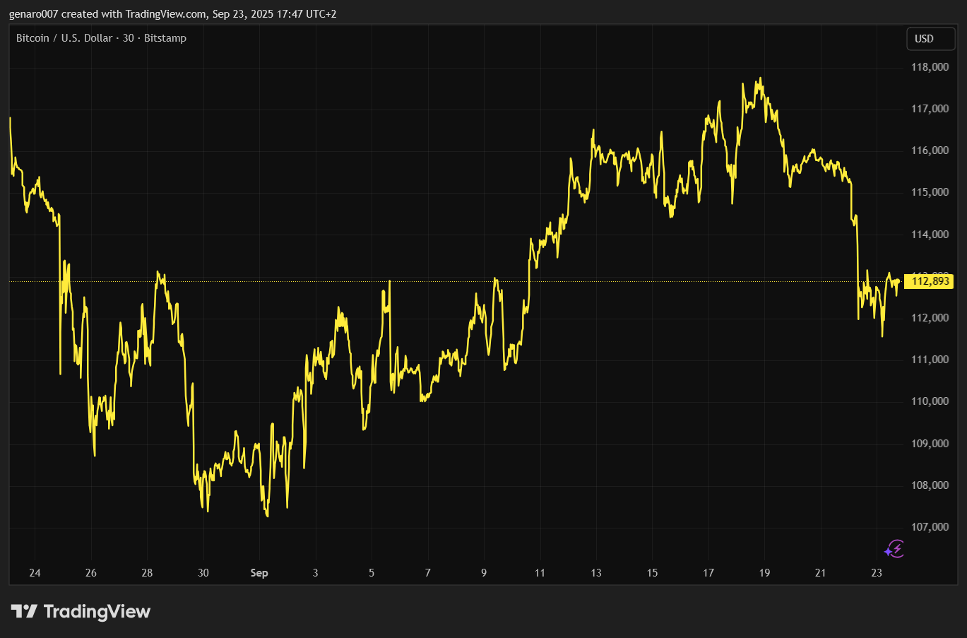 Vývoj ceny bitcoinu za poslední měsíc.