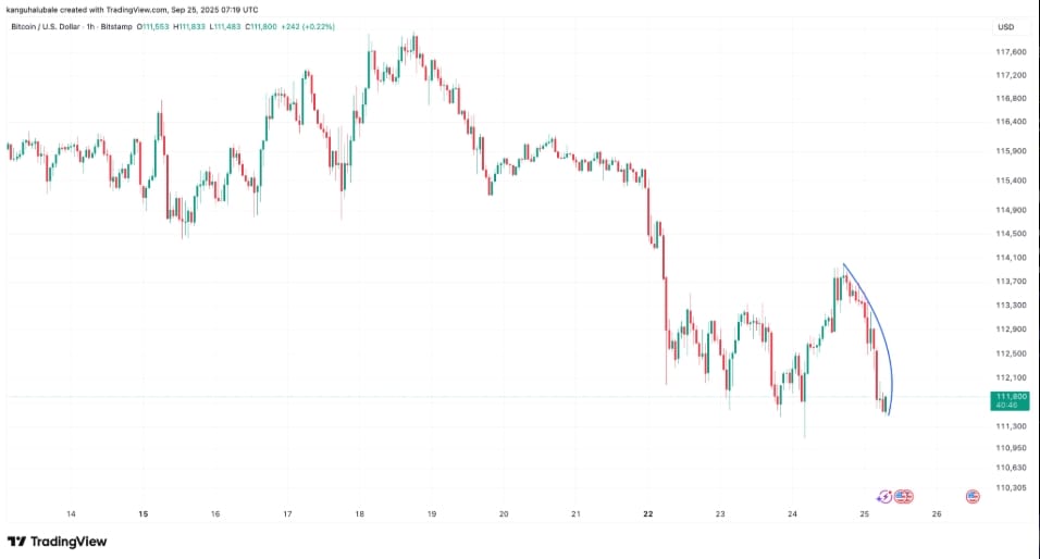 Hodinový graf BTC / USD.