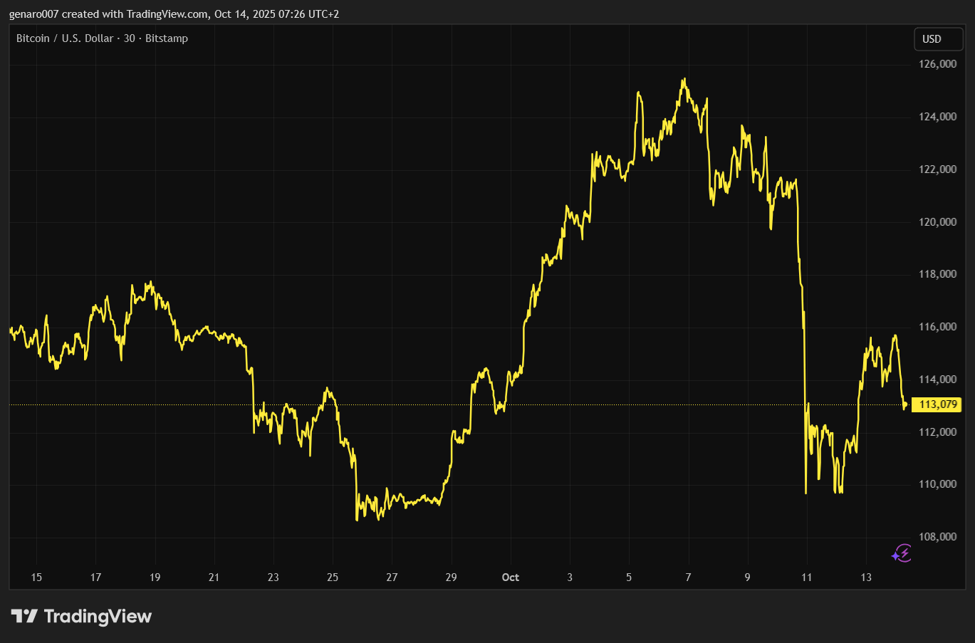 Vývoj ceny bitcoin za poslední měsíc.