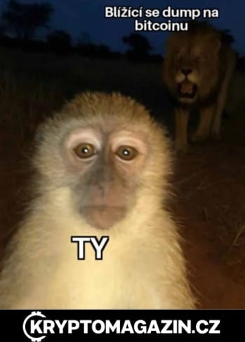 meme kryptomagazin