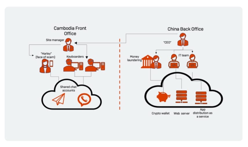 Typická struktura týmu „pig-butchering".
