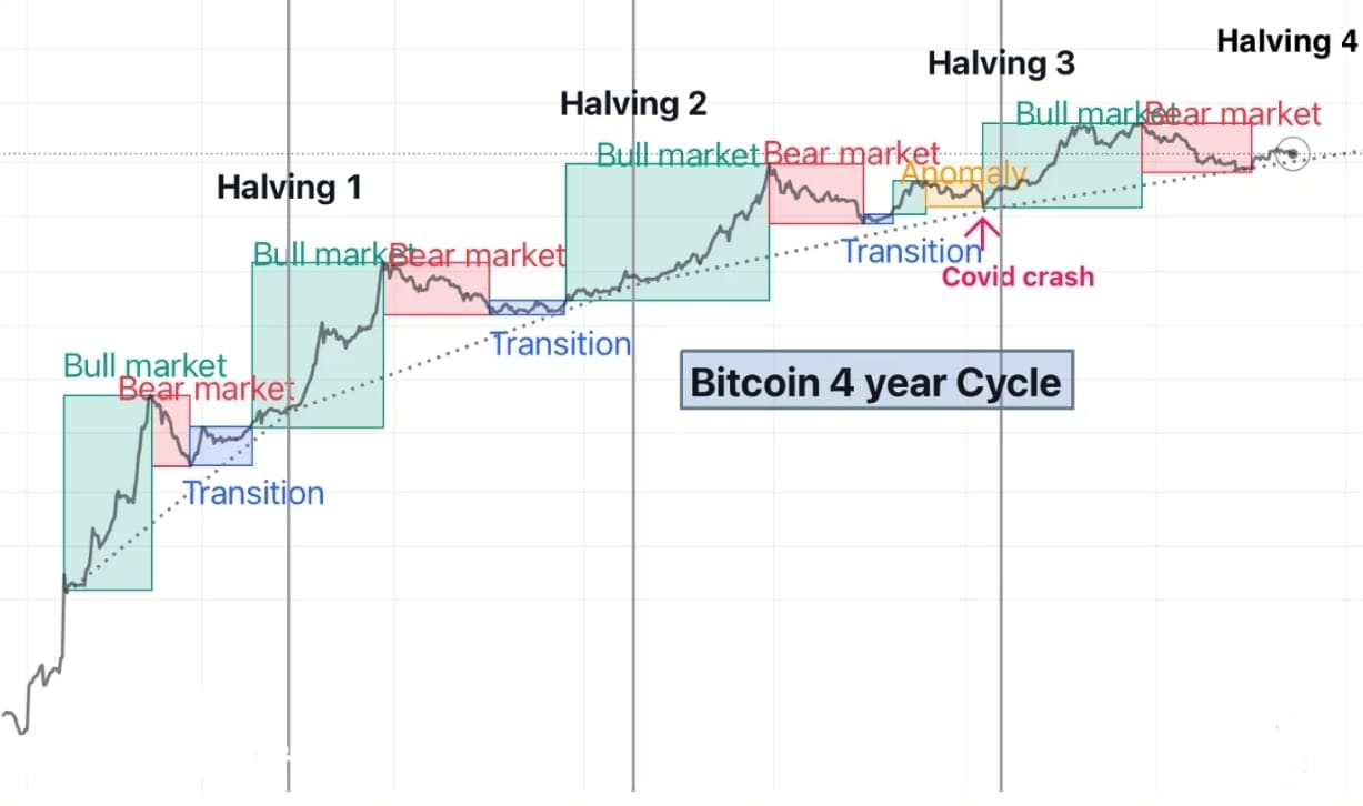 Halving - historie bitcoinových cyklů.