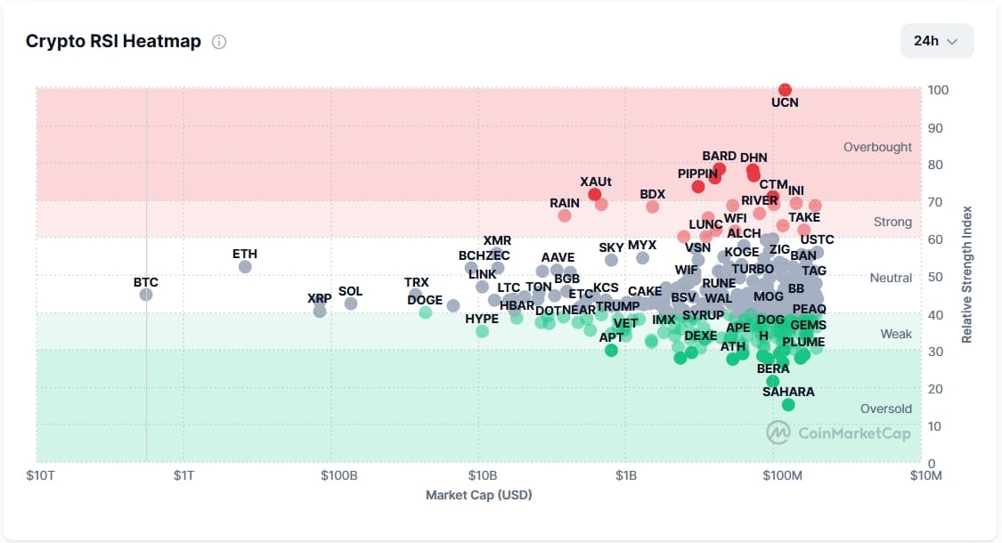 Crypto RSI Heatmap, kde má na 24 hodinovém grafu BTC hodnotu 44,72.
