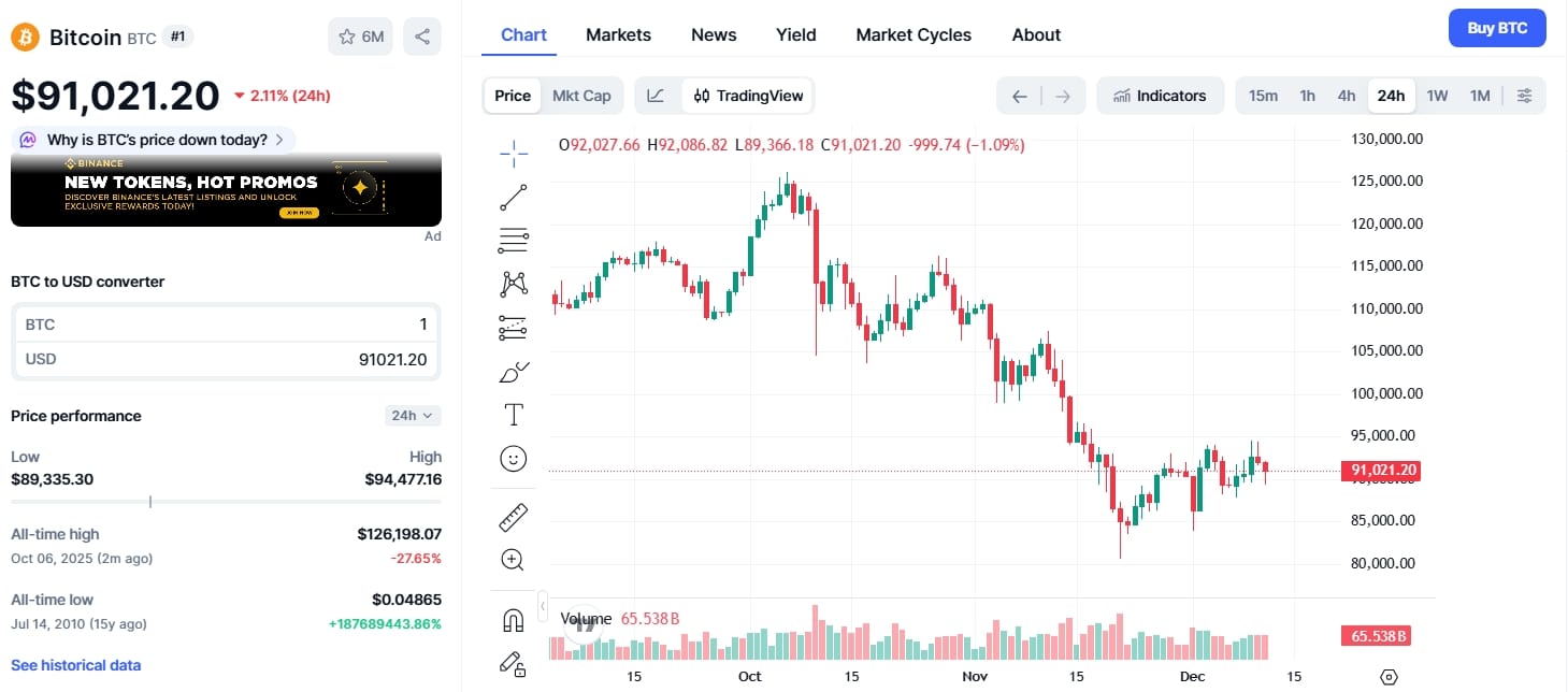 Jednodenní cenový graf BTC/USD s aktuální cenou lehce nad 91 000 USD.