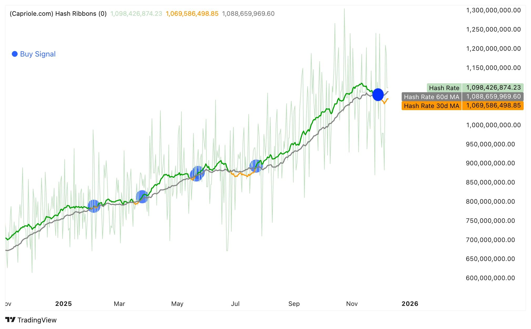 Metrika Hash Ribbons, která sleduje výkon těžařů a obnovu hashrate.