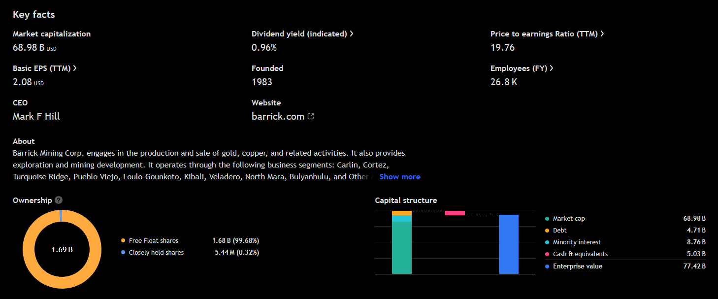 Klíčové informace o společnosti Barric Mining Corporation. Zdroj: Tradingview.com