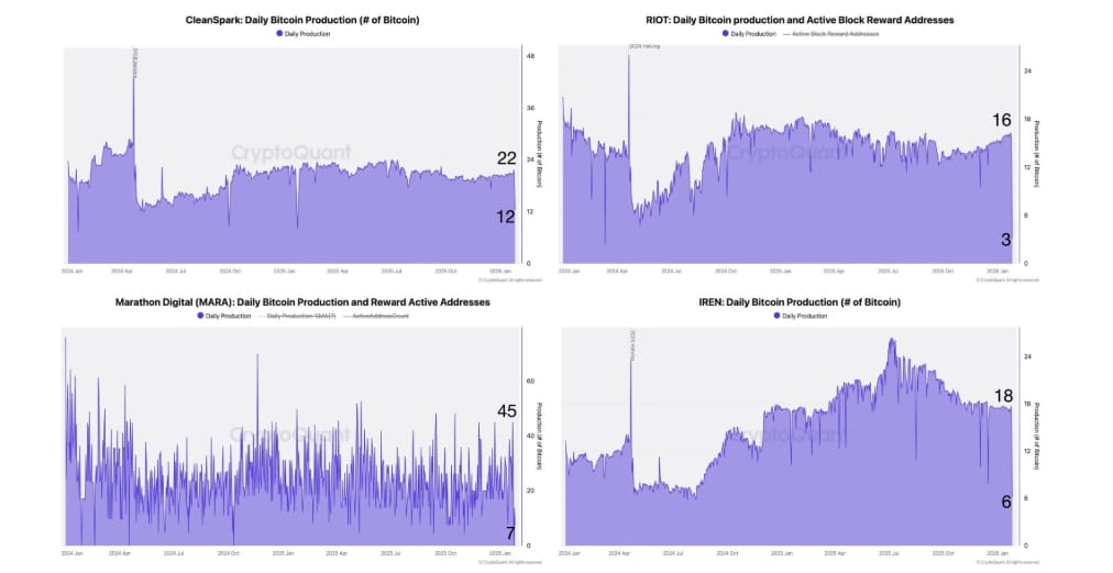 Denní produkce Bitcoinu se zpomalila u několika těžařů během bouře v USA.