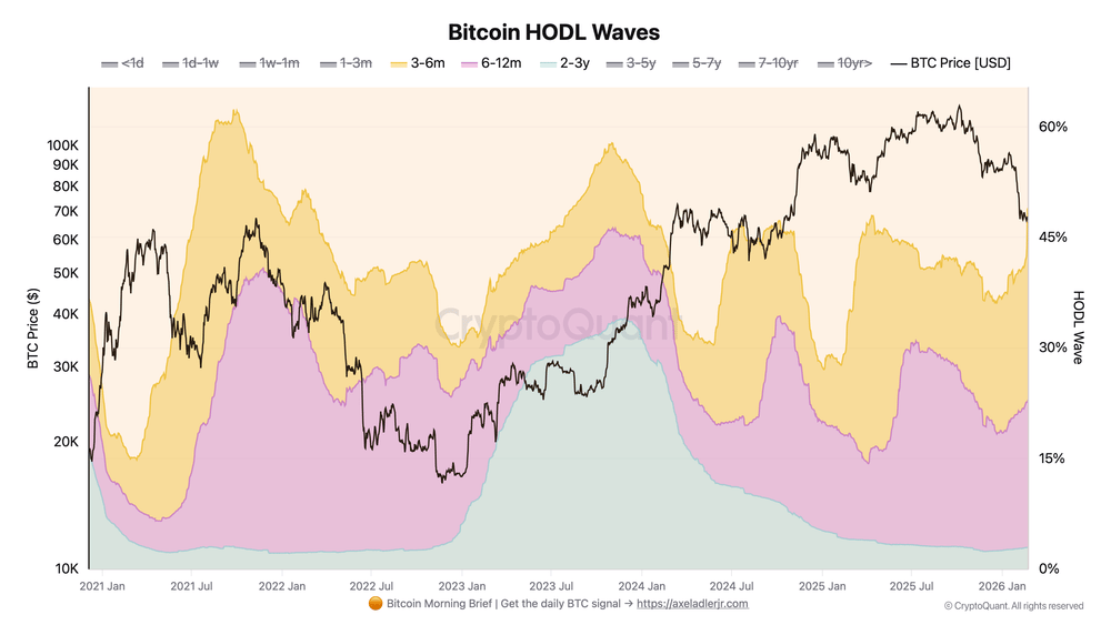Přehled vývoje ceny Bitcoinu a podílu nabízených mincí podle jejich data posledního pohybu (zdroj: CryptoQuant / Axel Adler Jr.).