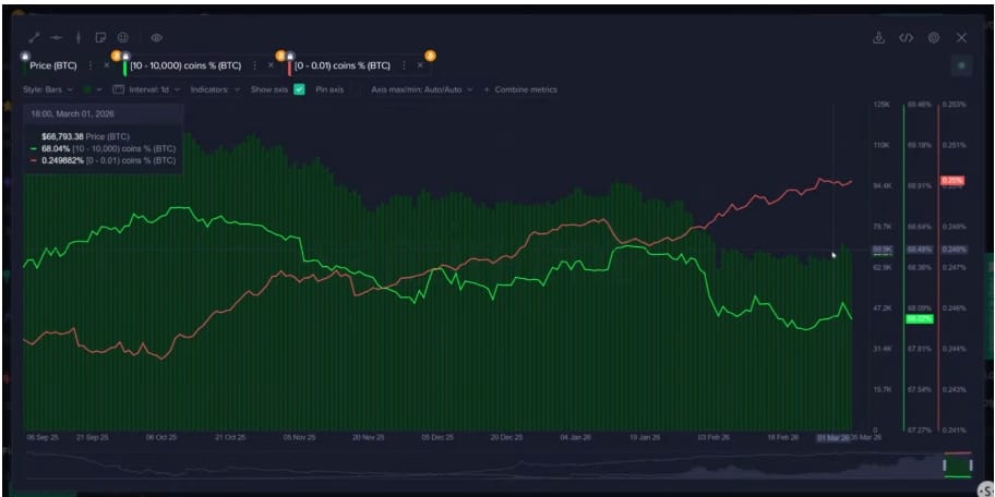 Velryby (zelená čára) prodávaly, zatímco drobní investoři (červená čára) nakupovali více Bitcoinu.