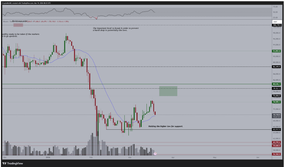 Jednodenní graf BTC/USDT. Van de Poppe uvedl, že by byl výrazným kupcem Bitcoinu, pokud by cena klesla zpět do oblasti nižších 60 000 dolarů.