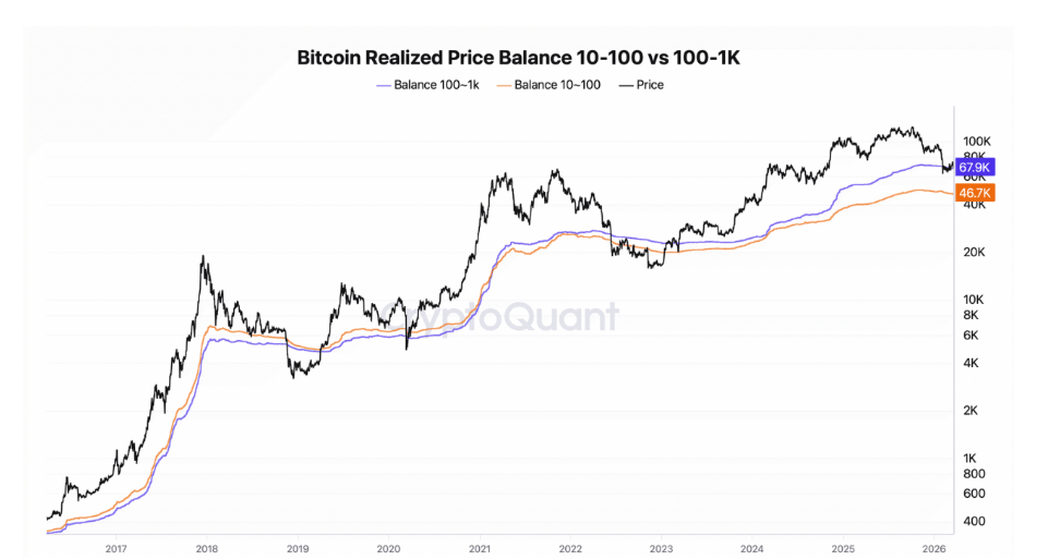 Bitcoin realized price balance of 10–100 vs 100–1K = Porovnání realizované ceny Bitcoinu mezi skupinami držitelů 10–100 BTC a 100–1 000 BTC. Pomáhá určit důležité supporty a pochopit, kde mohou jednotlivé skupiny reagovat (držet vs. prodávat).