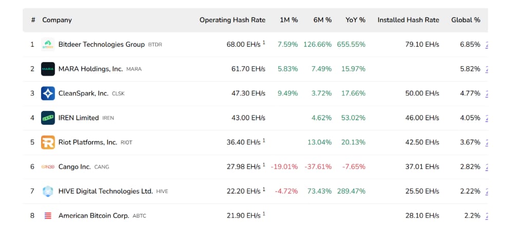 Největší bitcoinové těžební společnosti podle hashratu.