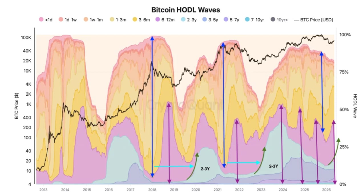 Indikátor Bitcoin Hold Waves. Zdroj: CryptoQuant