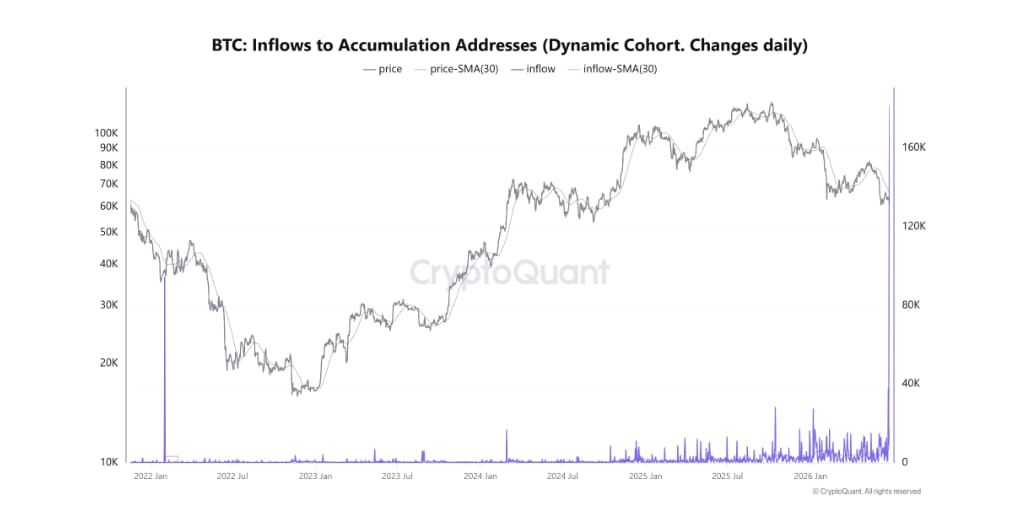 BTC Inflows to Accumulation Addresses (Dynamic cohort, changes daily) je on-chain ukazatel, který měří, kolik bitcoinů přiteklo na akumulační adresy, tedy peněženky, které dlouhodobě shromažďují BTC a téměř nikdy je neutrácejí. Označení Dynamic cohort (changes daily) znamená, že seznam těchto akumulačních adres se průběžně mění. Každý den se přepočítává podle aktuálního chování peněženek. Některé adresy do skupiny přibudou, jiné z ní vypadnou, pokud začnou své bitcoiny utrácet.