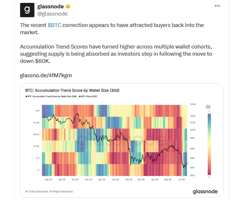 Zdá se, že nedávná korekce bitcoinu přilákala kupující zpět na trh. Ukazatele Accumulation Trend Score se zlepšily napříč několika skupinami peněženek, což naznačuje, že nabídka je postupně absorbována investory, kteří začali nakupovat po poklesu ceny k úrovni 60 000 dolarů.