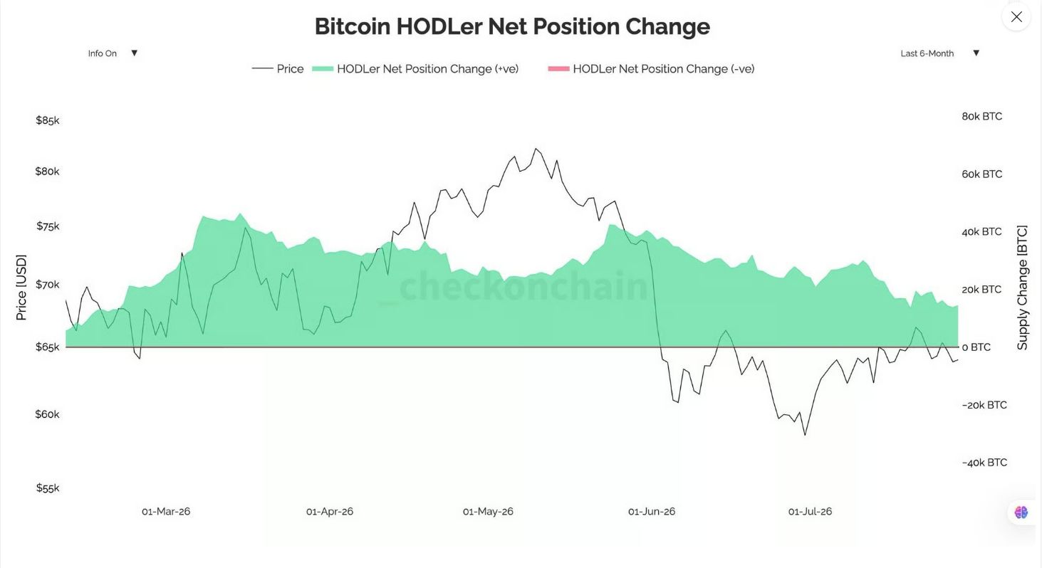 Vývoj čisté změny pozic dlouhodobých držitelů bitcoinu ukazuje, že akumulace pokračuje, ale její tempo výrazně zpomalilo. Zatímco na přelomu května a června čisté přírůstky dosahovaly kolem 40 000 BTC, koncem července klesly přibližně k 14 000 BTC.